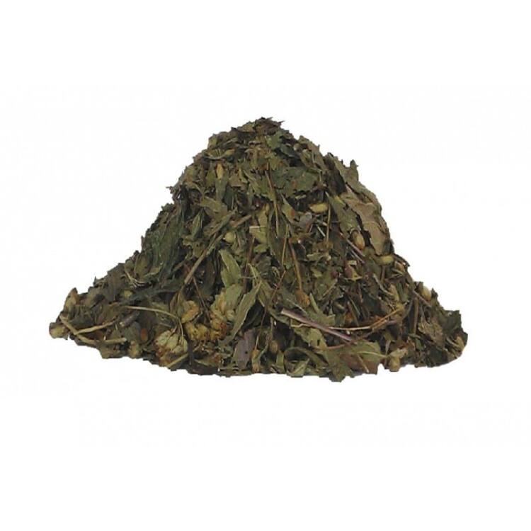 calea-zacatechichi-dream-herb.