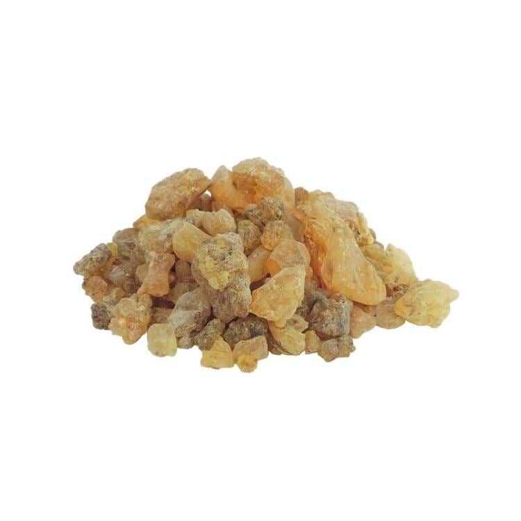 shorea-wiesneri-copal-white.